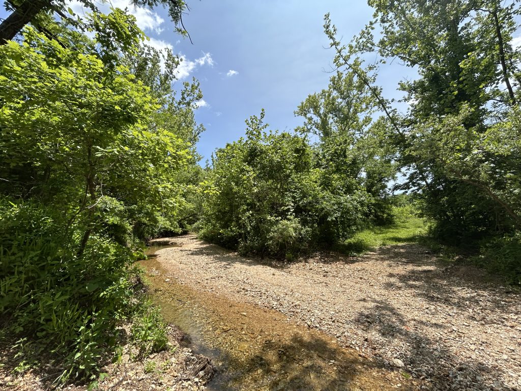 A landscape shot from Joel Cedric Oliver II hunting for Heaven Sake Outdoors.
