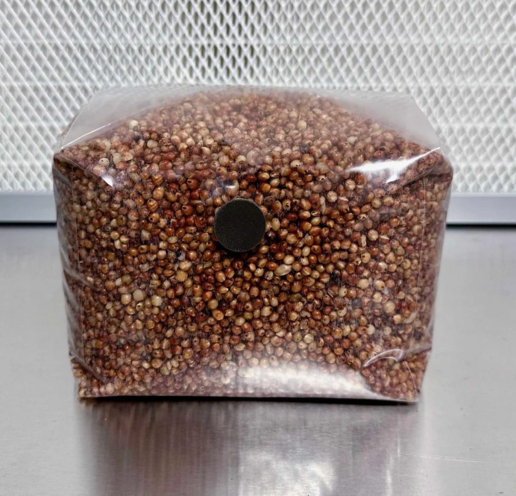 3 lb Sterilized Milo Grain Bag - Ready to Inoculate